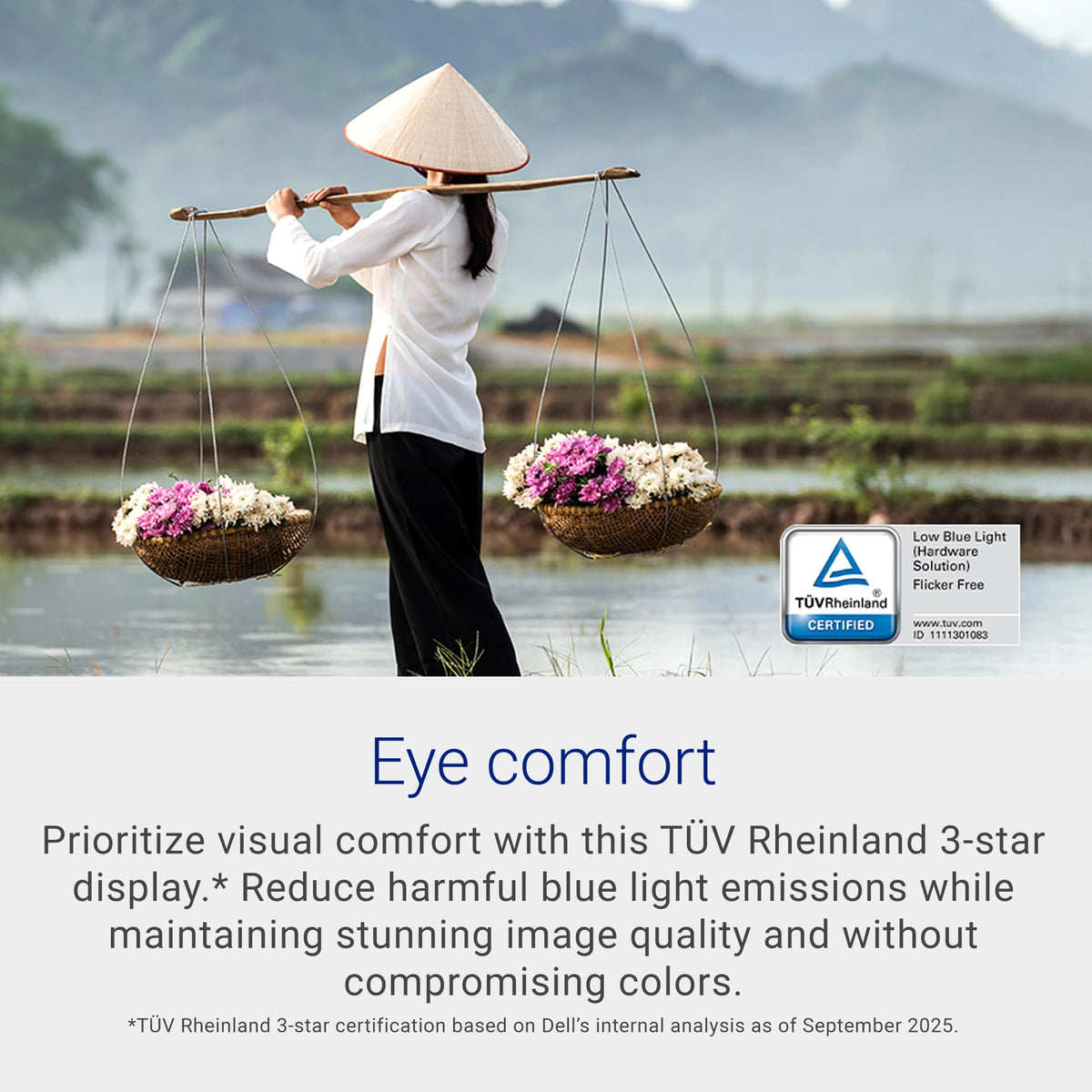 Dell 24 Monitor - SE2426H - 23.8-inch FHD (1920x1080) 144Hz 1ms Display, in-Plane Switching (IPS) Technology, AMD FreeSync™, TÜV 3-Star 2X HDMI, Tilt